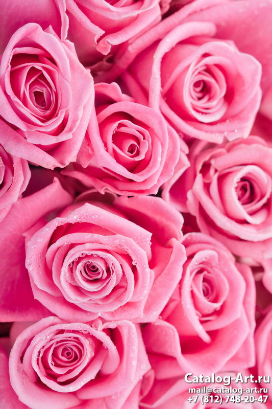 Pink roses 48